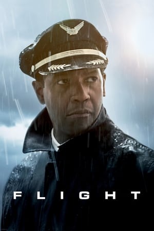 Flight (2012) Hindi Dual Audio 480p BluRay 400MB Flight (2012) Hindi Dual Audio 480p BluRay 400MB