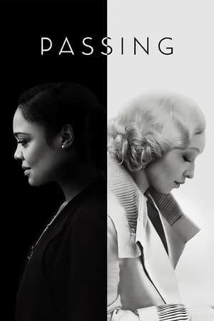 Passing 2021 Hindi Dual Audio 480p Web-DL 320MB Passing 2021 Hindi Dual Audio 480p Web-DL 320MB