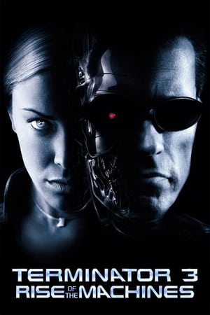 Terminator 3: Rise of the Machines (2003) Hindi Dual Audio 480p BluRay 350MB Terminator 3: Rise of the Machines (2003) Hindi Dual Audio 480p BluRay 350MB