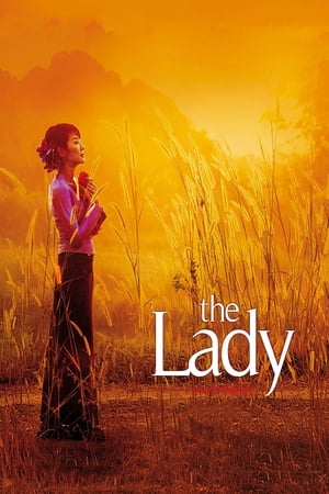 The Lady 2011 Dual Audio Hindi Movie 720p Bluray - 920MB The Lady 2011 Dual Audio Hindi Movie 720p Bluray - 920MB