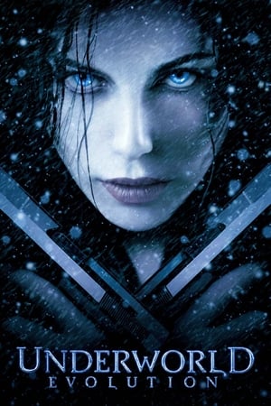 Underworld Evolution (2006) 100mb Hindi Dual Audio movie Hevc BRRip Download Underworld Evolution (2006) 100mb Hindi Dual Audio movie Hevc BRRip Download
